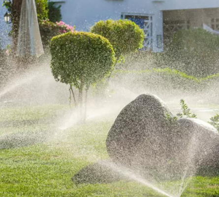 Underground lawn sprinkler installation in Vaughan